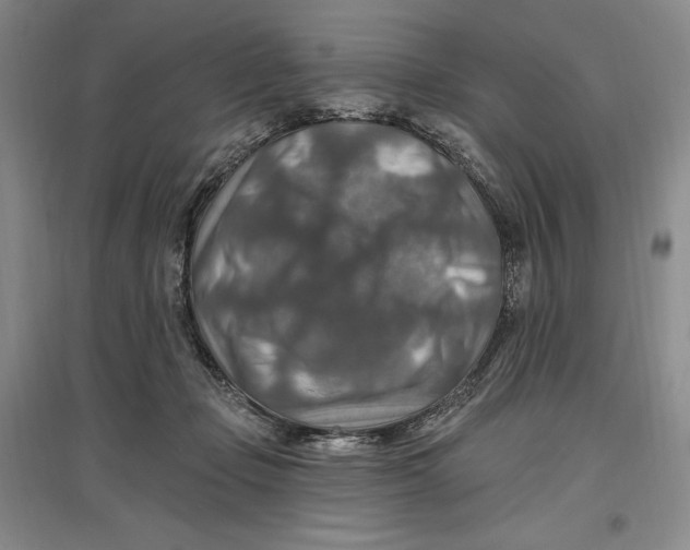 X0000096970365200802291127