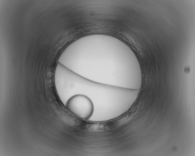 X0000096970366200802291127