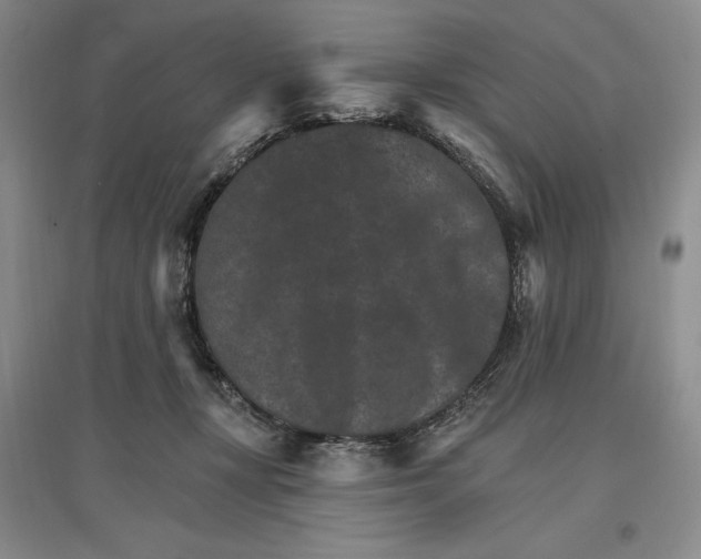 X0000096970367200802291127