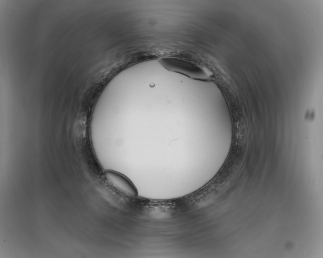 X0000096970368200802291127