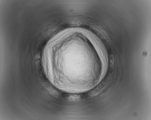 X0000096970369200802291127