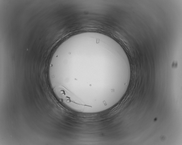 X0000096970370200802291127