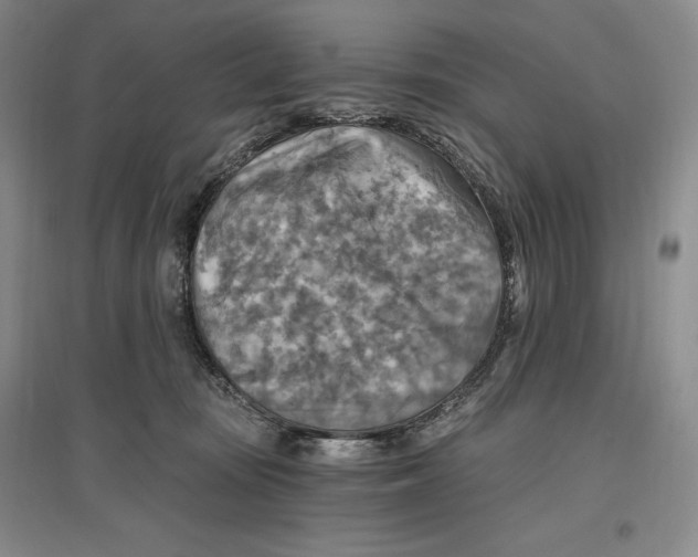 X0000096970371200802291127