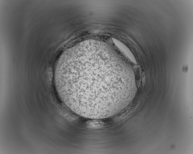 X0000096970372200802291127