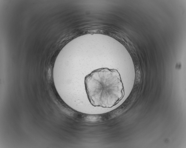 X0000096970375200802291127