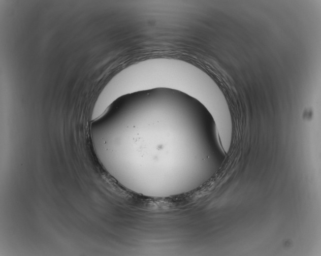 X0000096970376200802291127