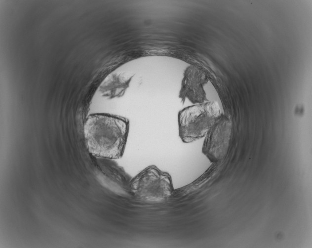 X0000096970377200802291127