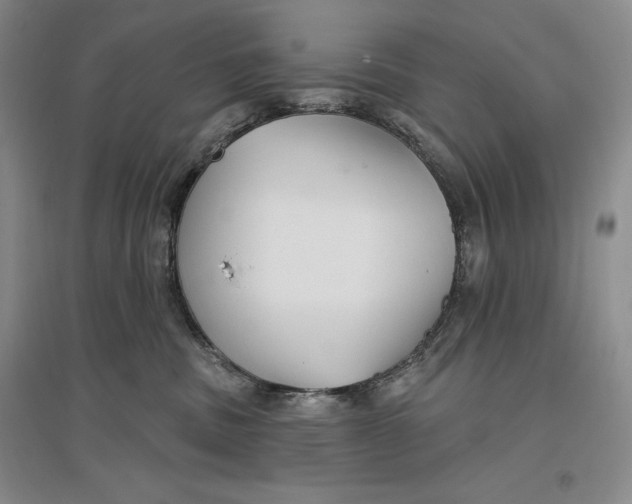 X0000096970379200802291127