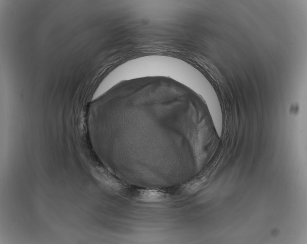 X0000096970380200802291127