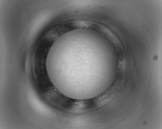 X0000096970381200802291127