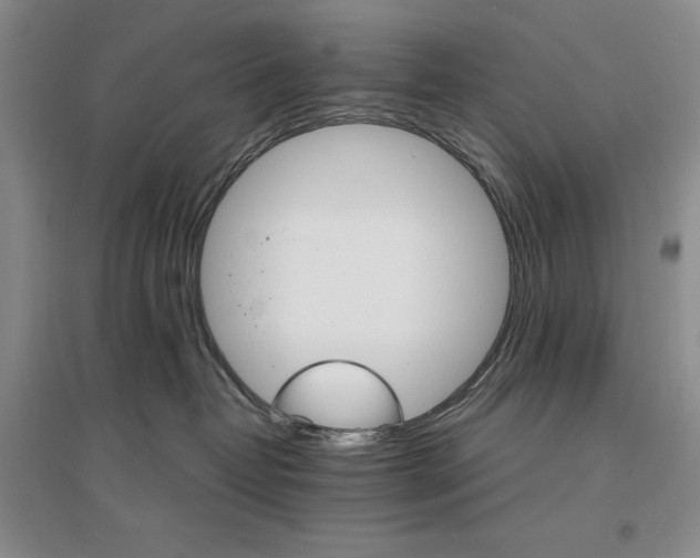 X0000096970382200802291127