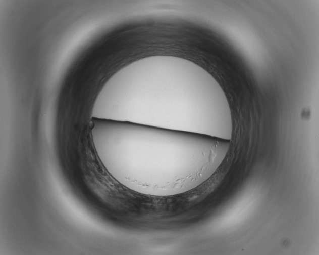 X0000096970383200802291127