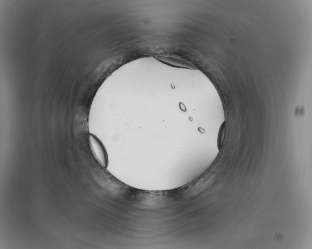 X0000096970384200802291127