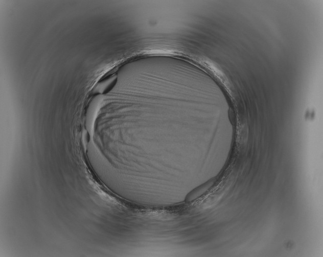 X0000096970385200802291126