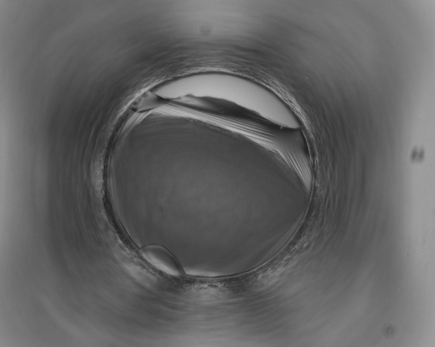 X0000096970386200802291126