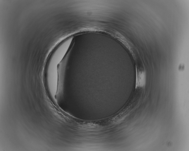 X0000096970387200802291126