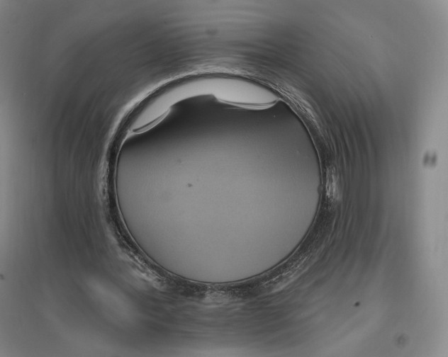 X0000096970388200802291126