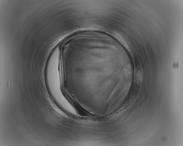 X0000096970389200802291126