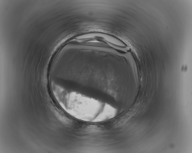 X0000096970390200802291126