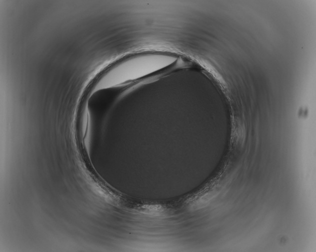 X0000096970391200802291126