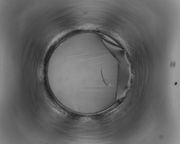 X0000096970392200802291126