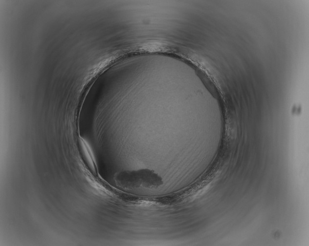 X0000096970393200802291126