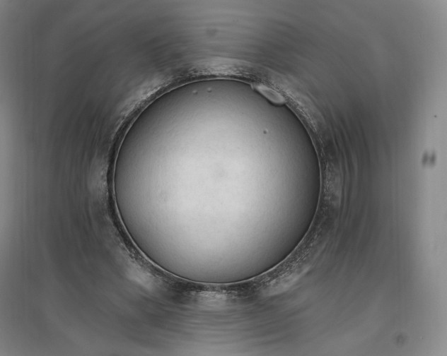 X0000096970394200802291126