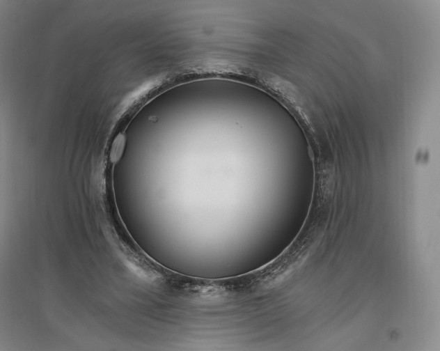 X0000096970395200802291126