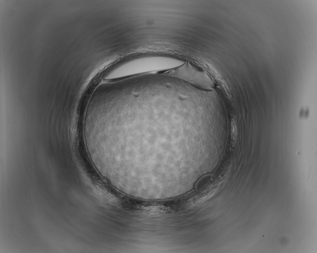 X0000096970396200802291126