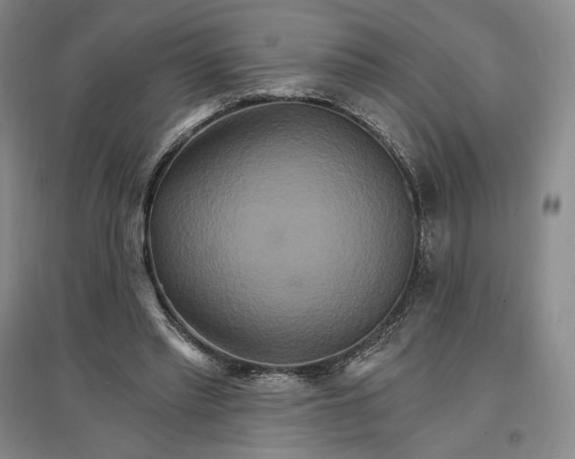 X0000096970397200802291126