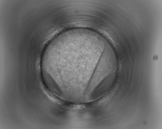 X0000096970398200802291126