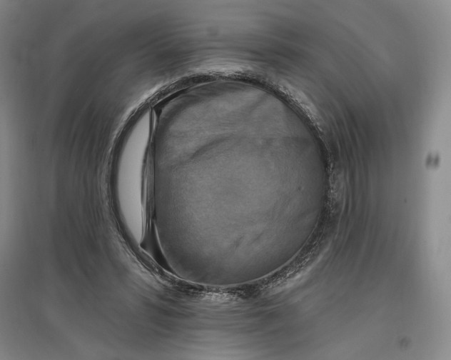 X0000096970399200802291126