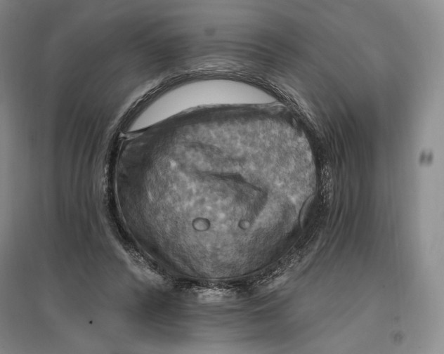 X0000096970400200802291126