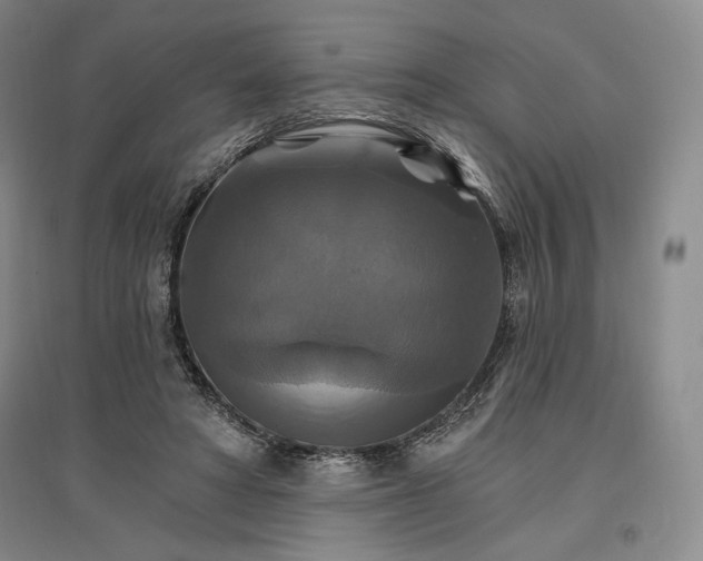 X0000096970402200802291126