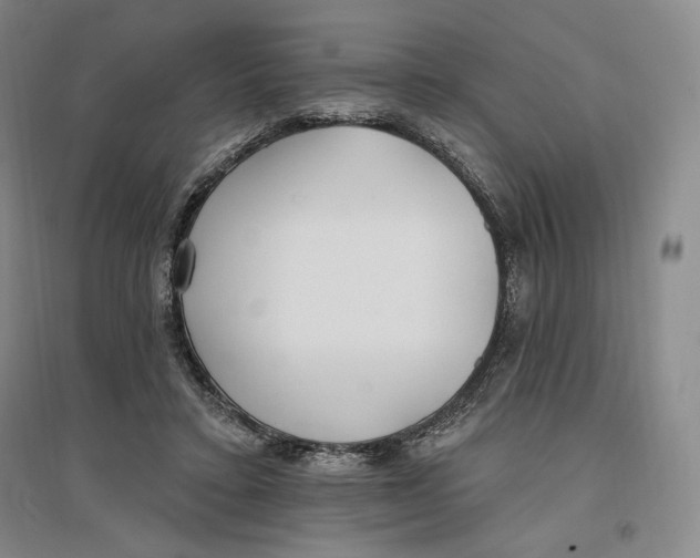 X0000096970403200802291126