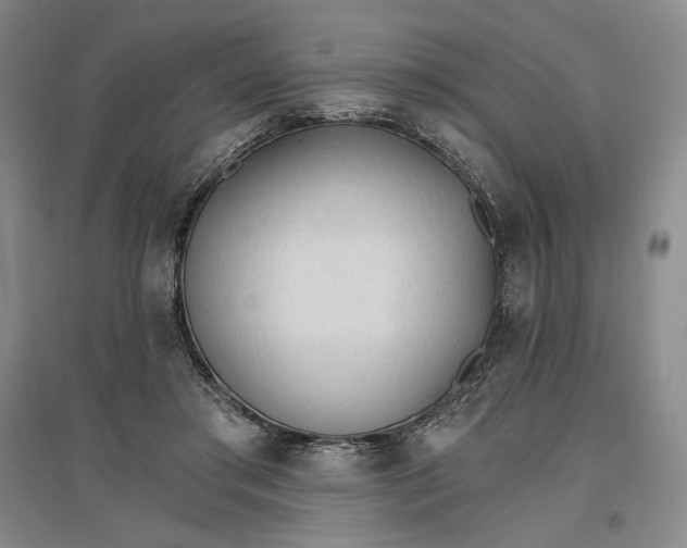 X0000096970405200802291126