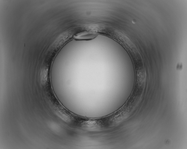 X0000096970406200802291126