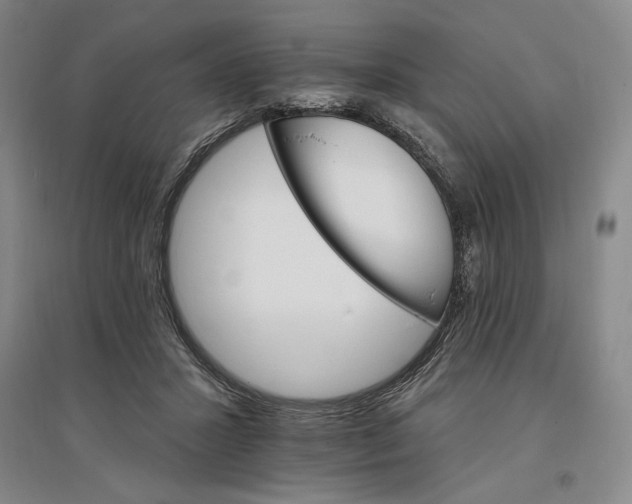 X0000096970407200802291126