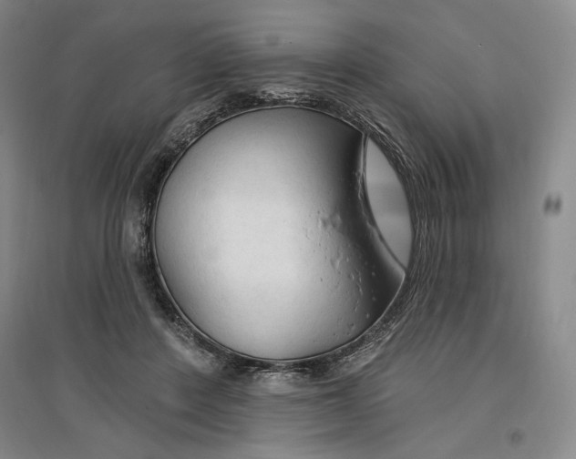 X0000096970408200802291126