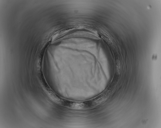 X0000096970410200802291126