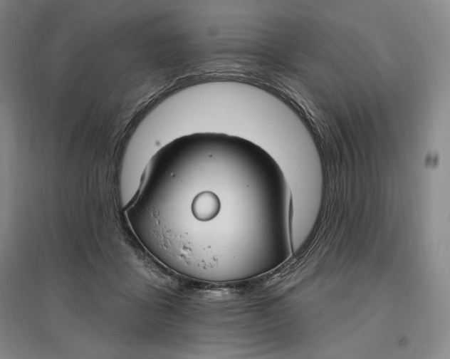 X0000096970411200802291126