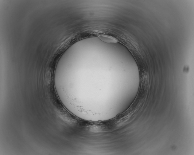 X0000096970412200802291126