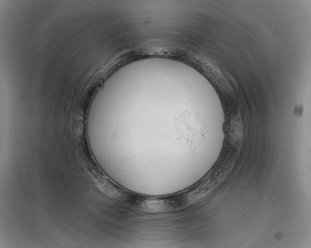 X0000096970413200802291126