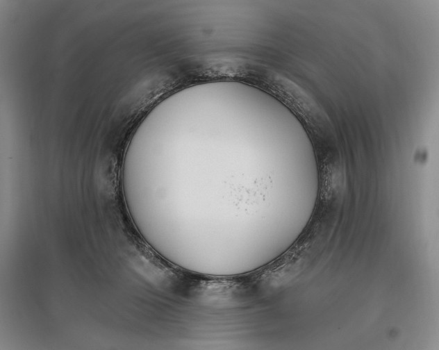 X0000096970414200802291126