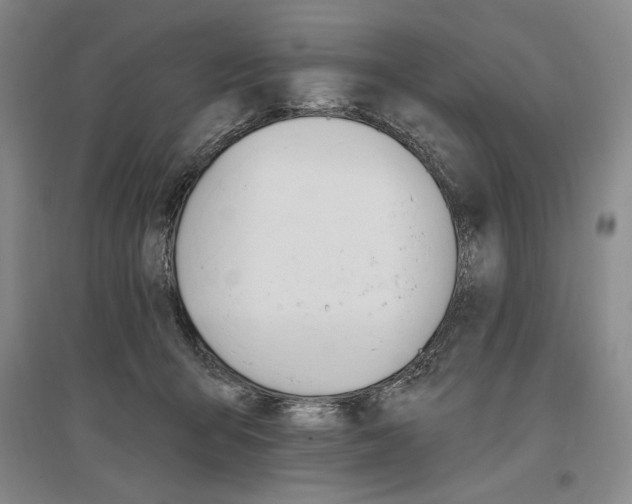 X0000096970415200802291126