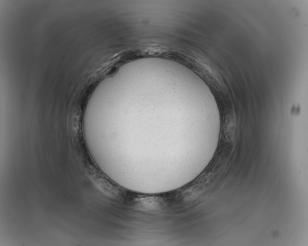 X0000096970417200802291126