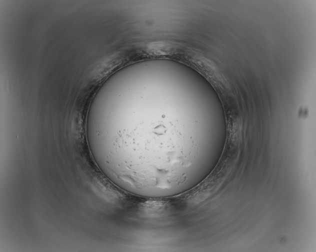 X0000096970418200802291126