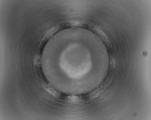 X0000096970419200802291126