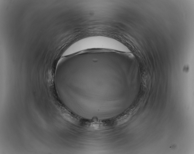 X0000096970420200802291126