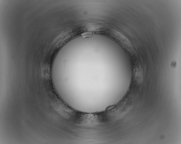 X0000096970421200802291126